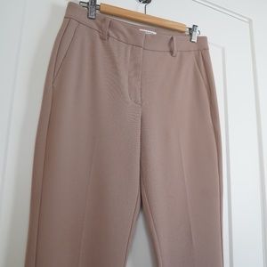 Aritzia | Babaton Quentin Pant